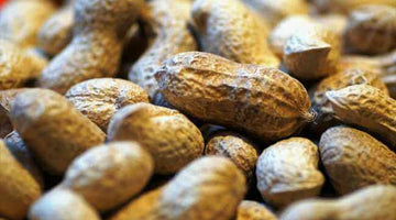 How to Manage Your Child's Nut Allergy