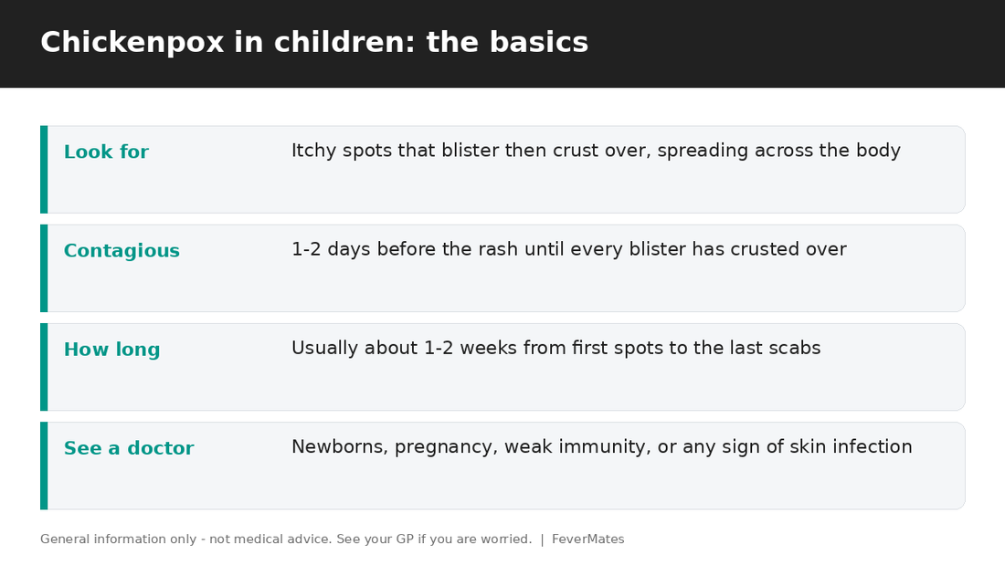 Chickenpox fast facts for parents — what to look for, contagious period, how long and when to see a doctor — FeverMates