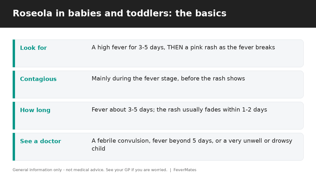 Roseola fast facts for parents — high fever then rash, contagious period, how long and when to see a doctor — FeverMates