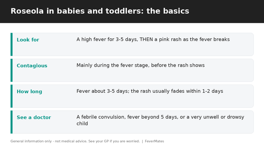 Roseola fast facts for parents — high fever then rash, contagious period, how long and when to see a doctor — FeverMates
