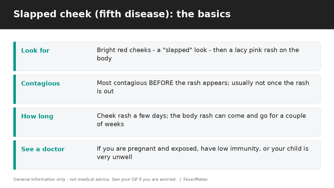 Slapped cheek (fifth disease) fast facts for parents — look, contagious period, how long and when to see a doctor — FeverMates