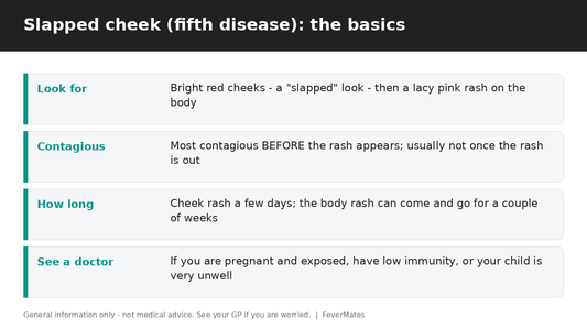 Slapped cheek (fifth disease) fast facts for parents — look, contagious period, how long and when to see a doctor — FeverMates